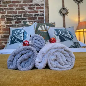 Sun Shack Apartment